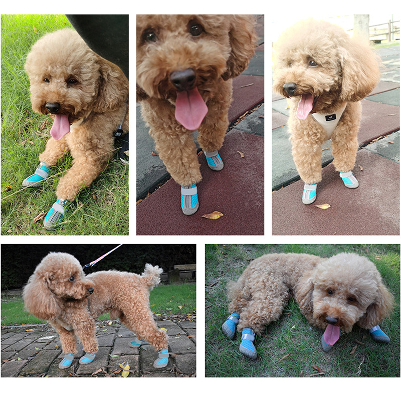 Dog Shoes for Hot Pavement – Breathable Non-Slip Dog Boots for Paw Protection